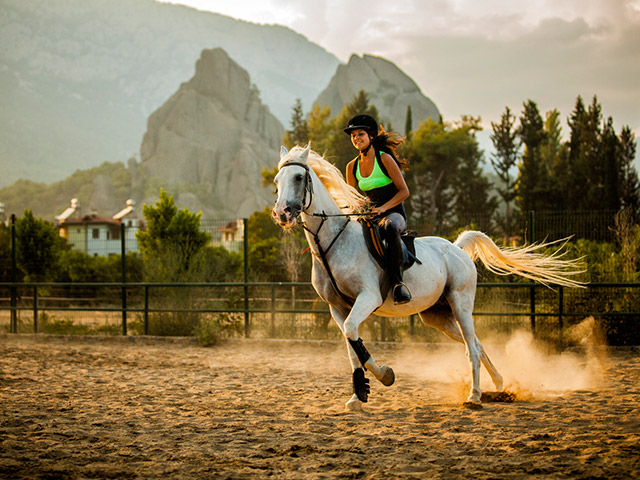 Horse Riding