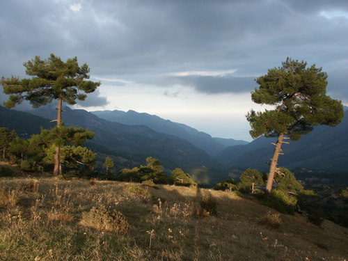 Üçoluk Yaylası