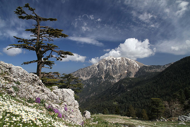 Tahtalı Dağı