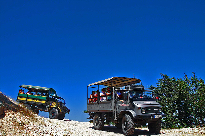 Offroad Safari