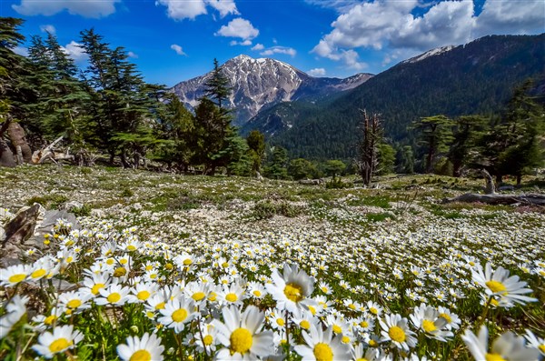 Yayla Kuzdere