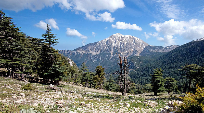 Doğa yürüyüşü